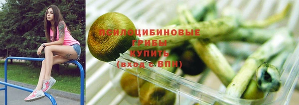 дживик Алексин