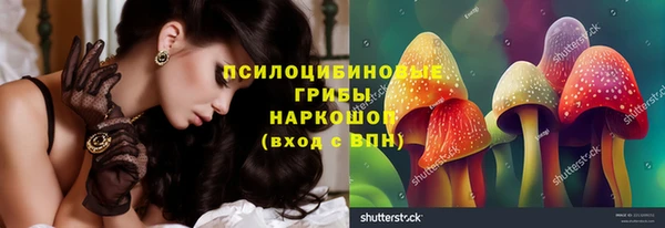 дживик Алексин