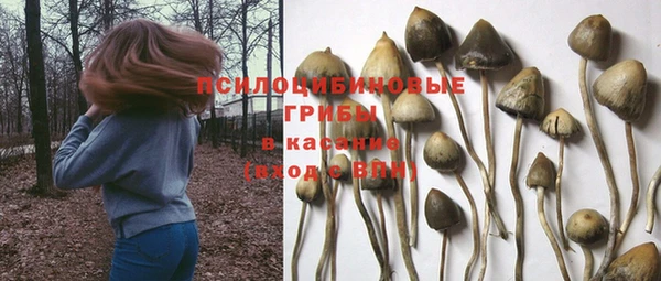 MDMA Premium VHQ Абаза