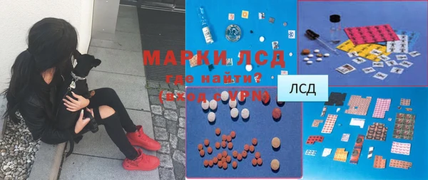 стаф Абинск