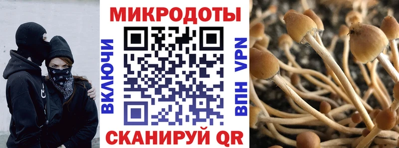 Галлюциногенные грибы мицелий  Чебоксары 