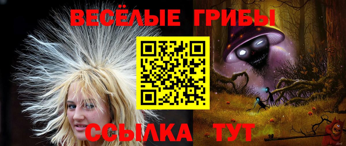 Чебоксары  Галлюциногенные грибы GOLDEN TEACHER  Вход с VPN 