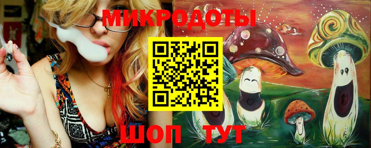 Псилоцибиновые грибы Psilocybine cubensis Чебоксары